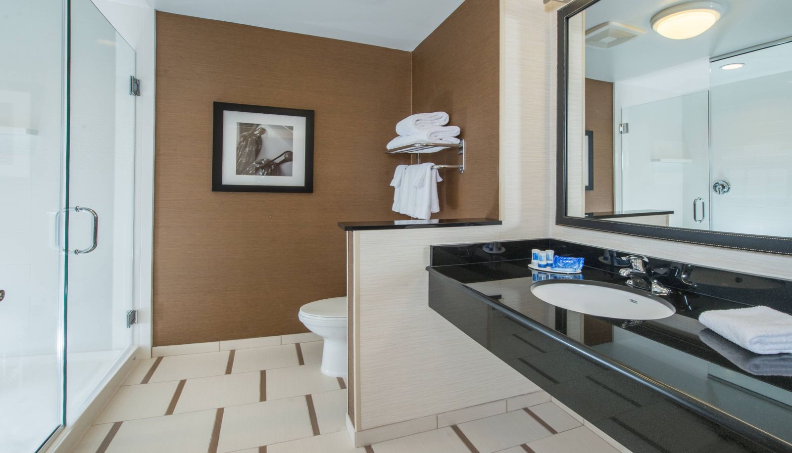 Camera - Fairfield Inn and Suites by Marriott Easton