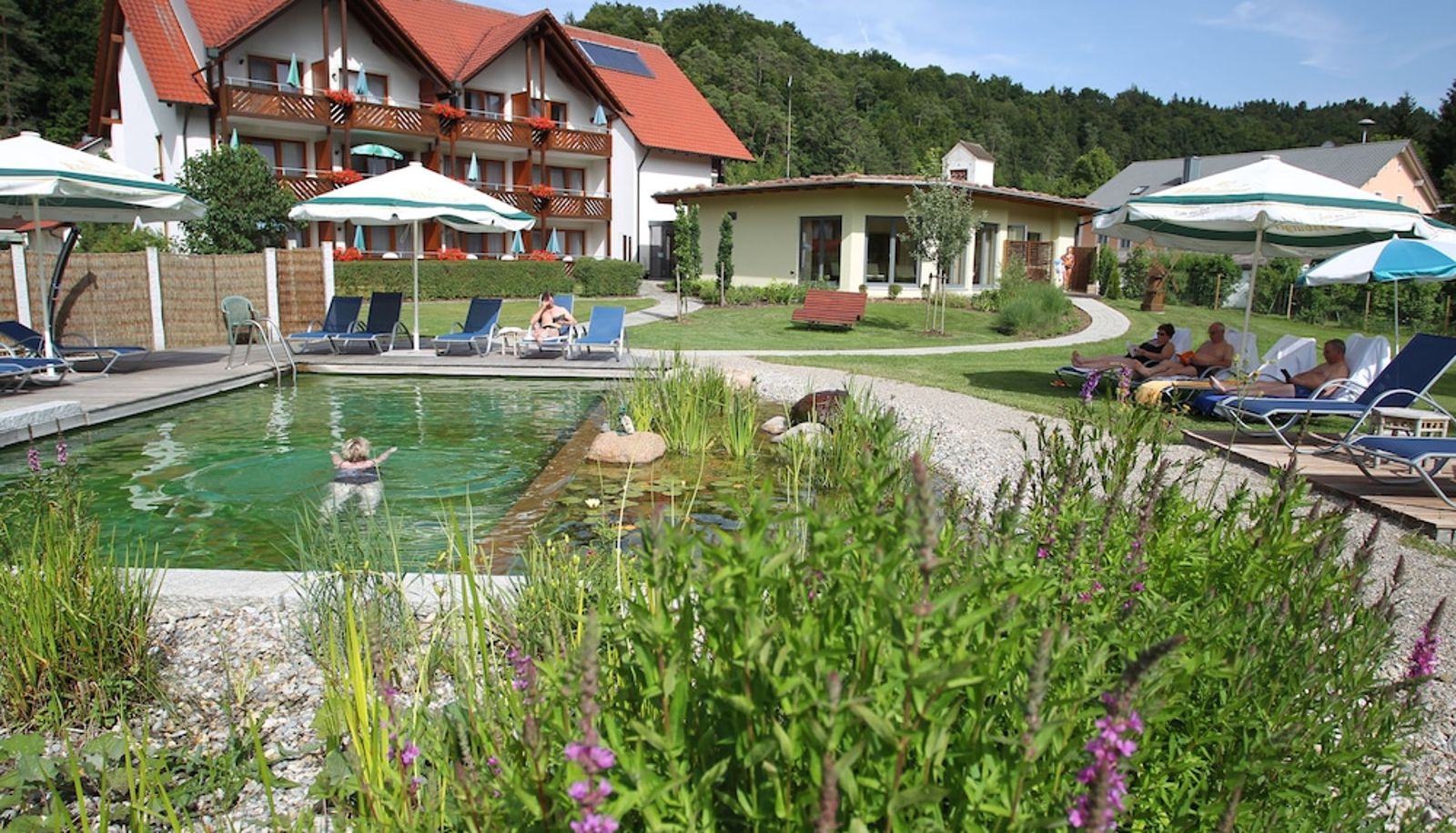Piscina - Hotel & Gasthof Zur Linde