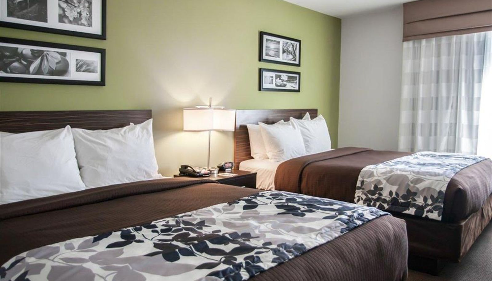 Zimmer - Sleep Inn & Suites Gulfport