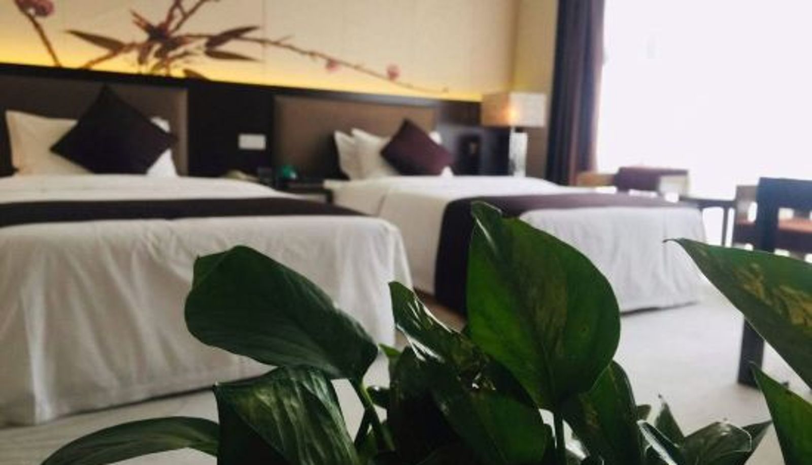 Widok wnętrza - Qingtengyuan Hotel