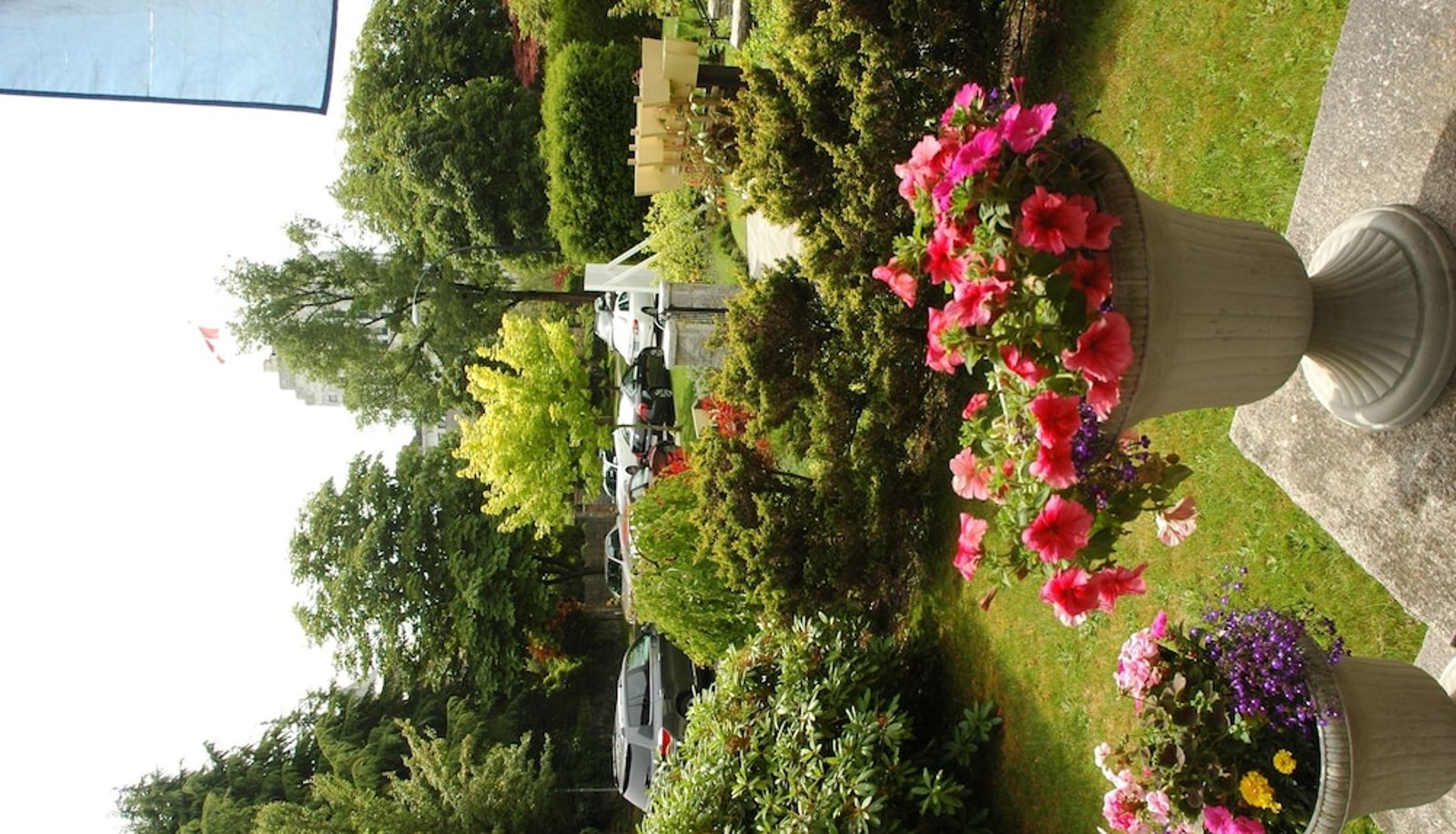 Garden - Windsor Guest House