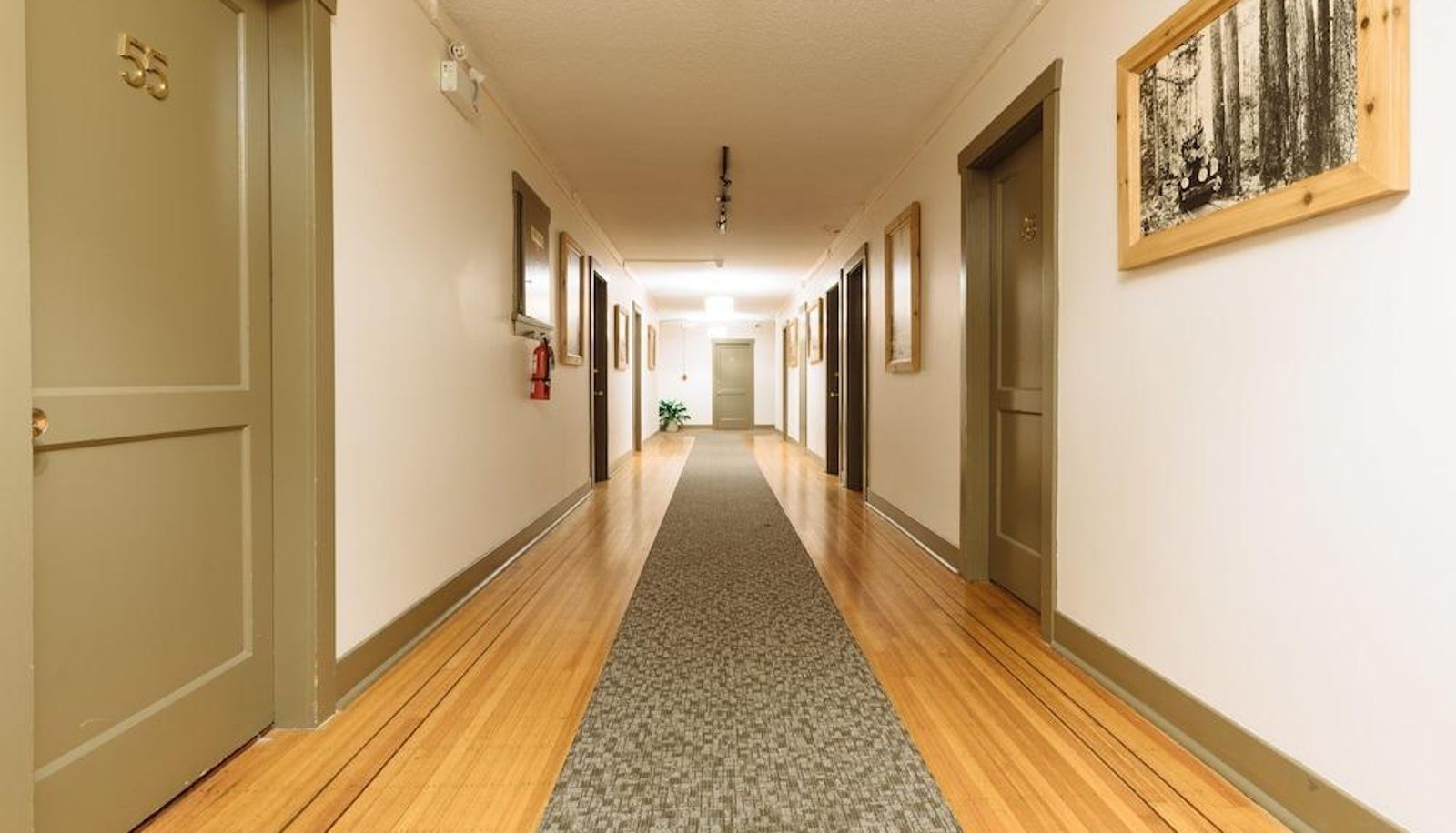 Hotel interior - The Buchan Hotel