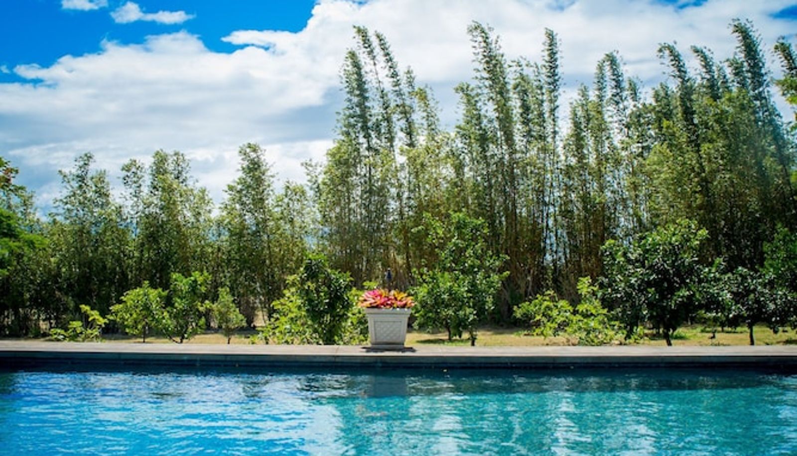 Piscine - Lumeria Maui Educational Retreat Center