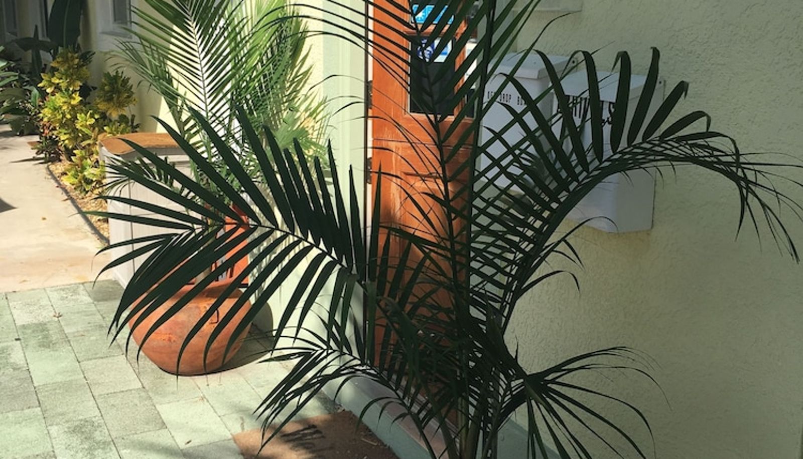 Reception - Palm Tree Villas