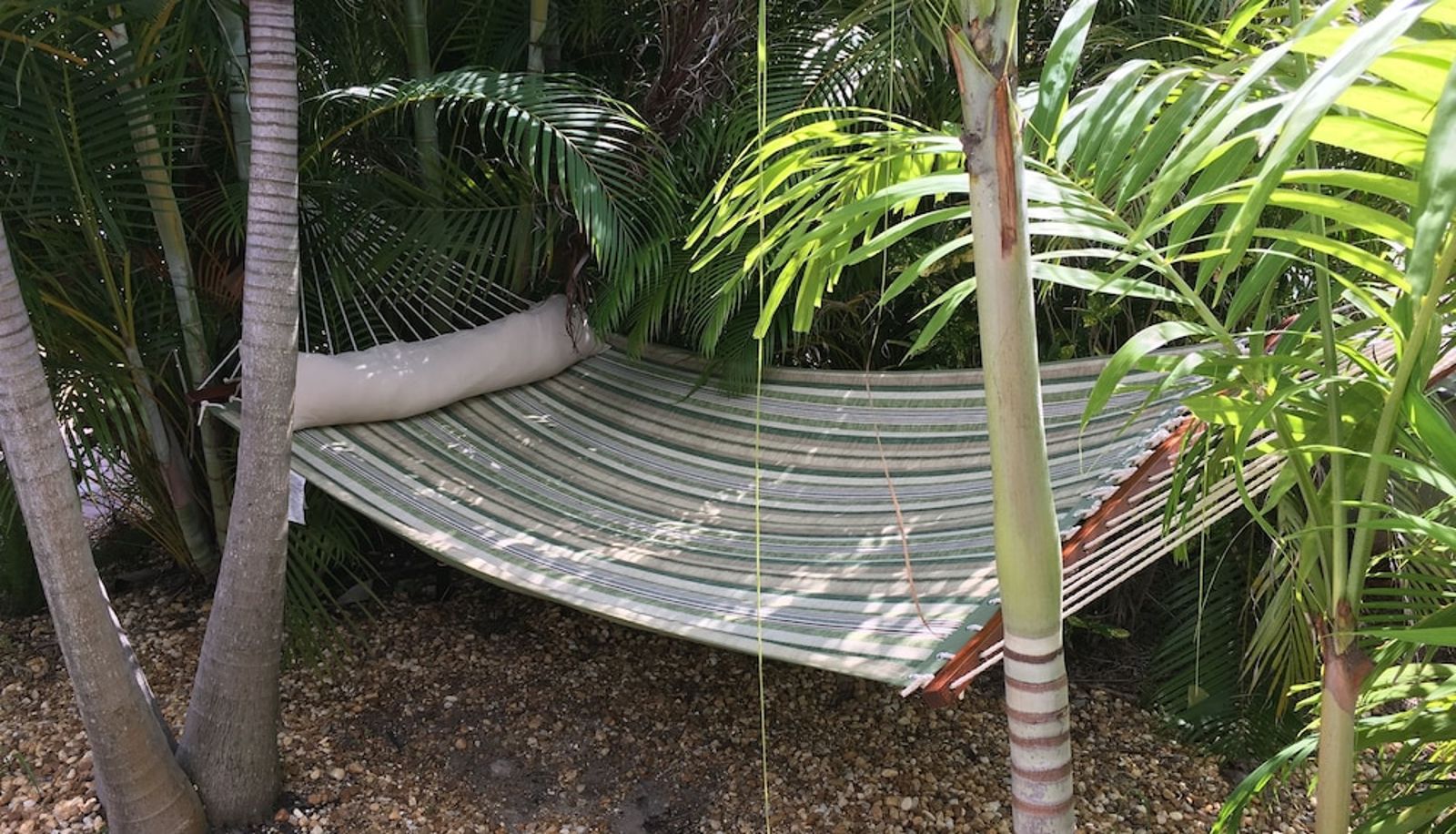 Giardino - Palm Tree Villas