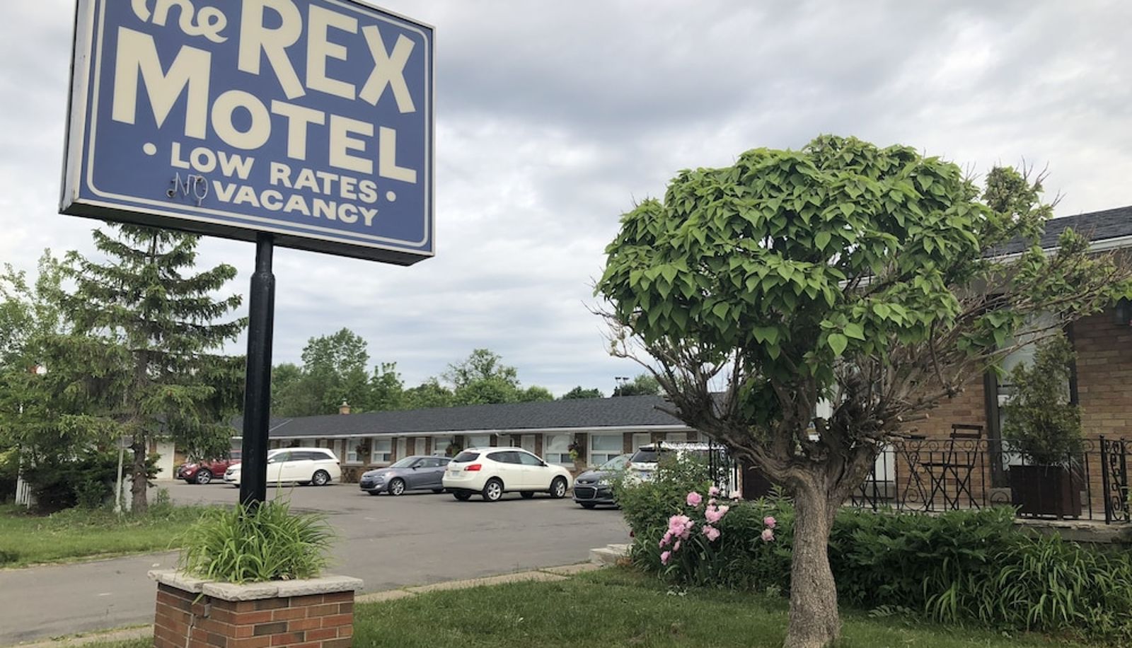 Info - The Rex Motel