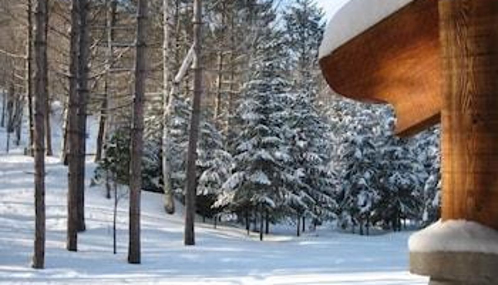 Umgebung - Au Petit Marigot