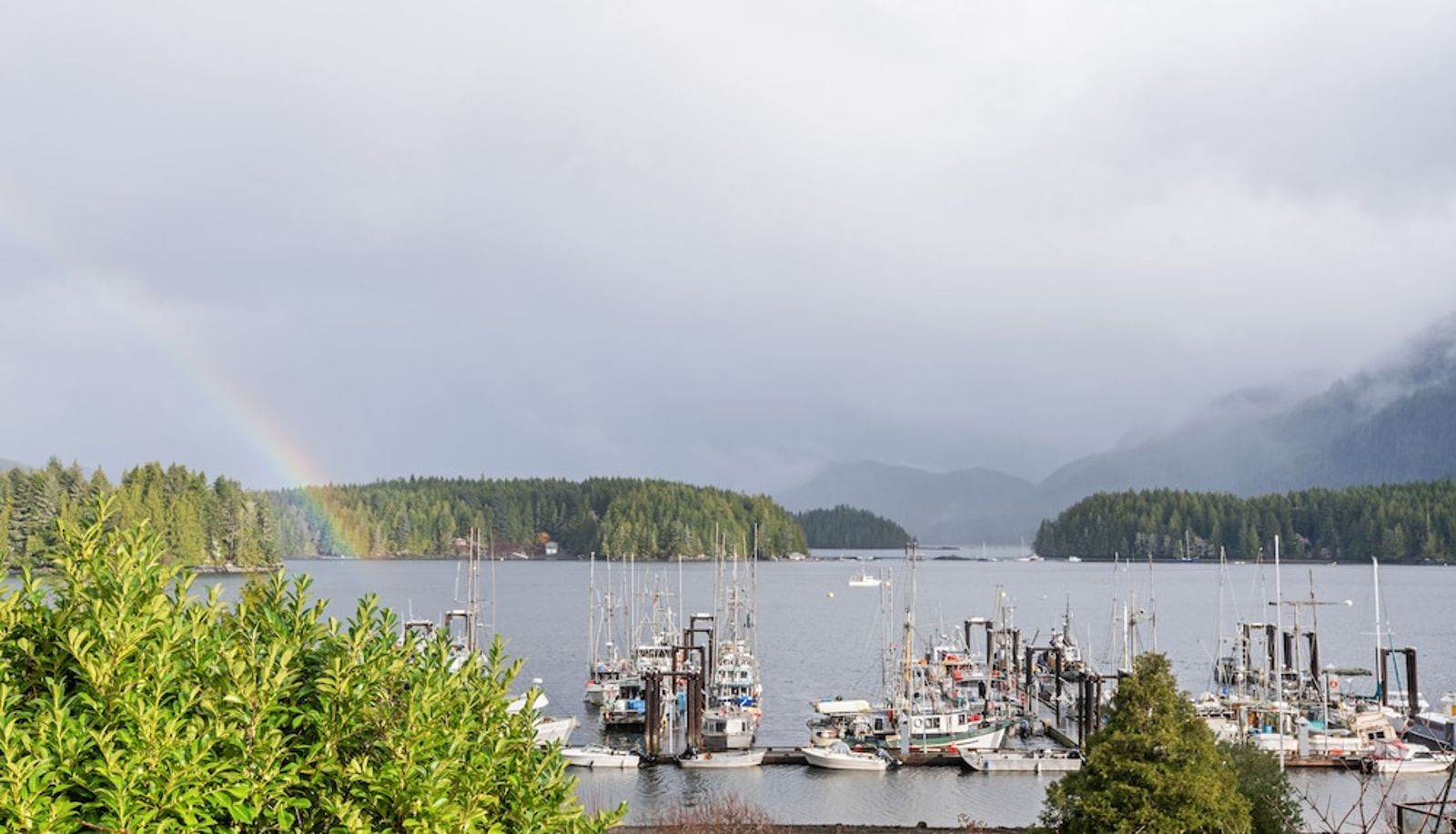 Garden - Tofino Motel Harborview