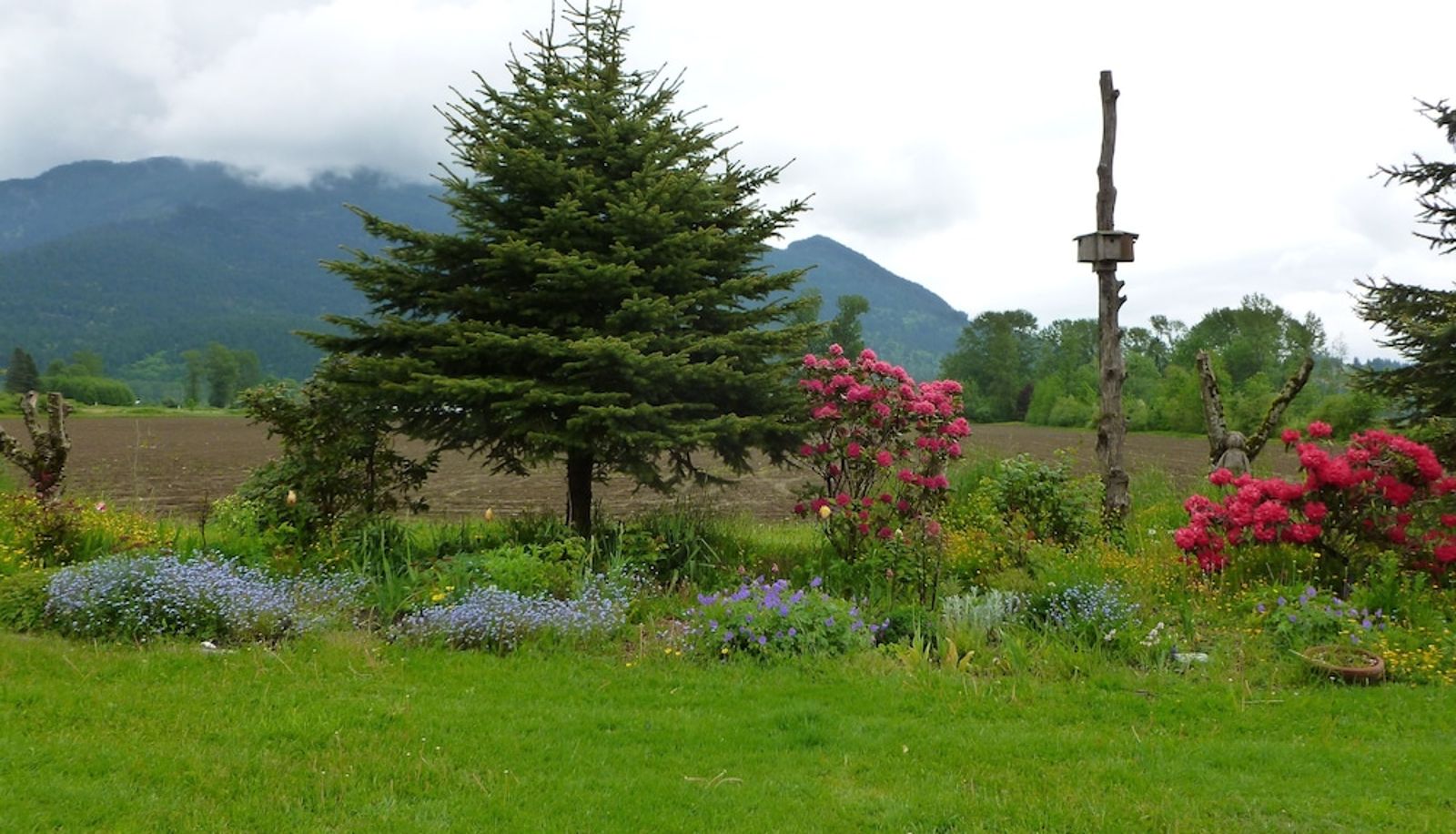 Garden - Harrison Hammond House Farmstay