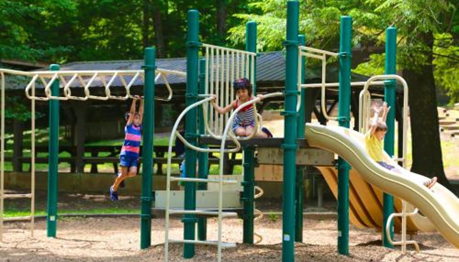Informacje - Unicoi State Park & Lodge