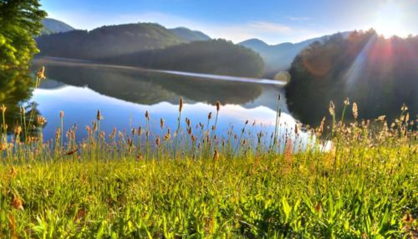 Informacje - Unicoi State Park & Lodge