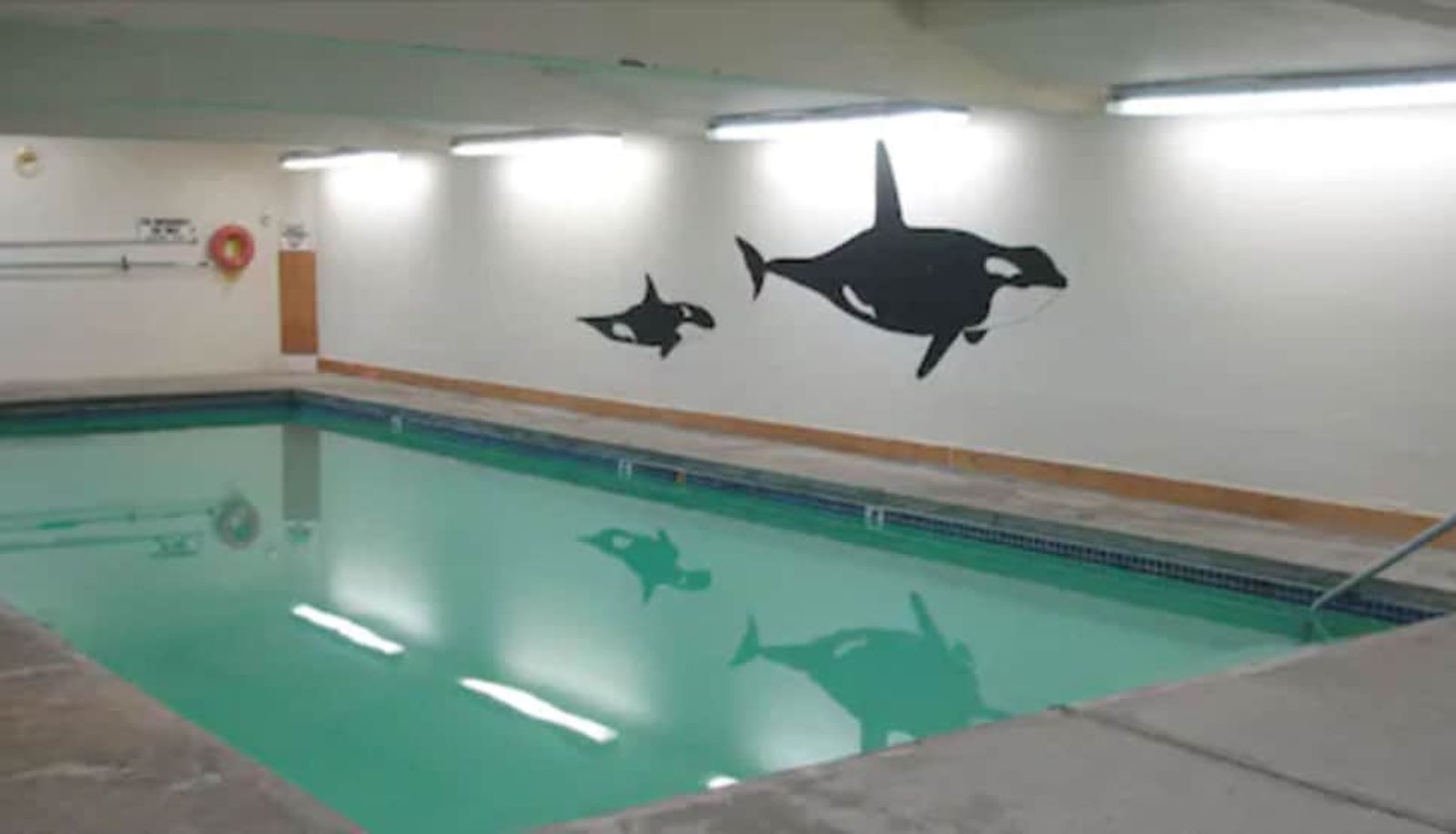 Piscina - The Dublin House Motel
