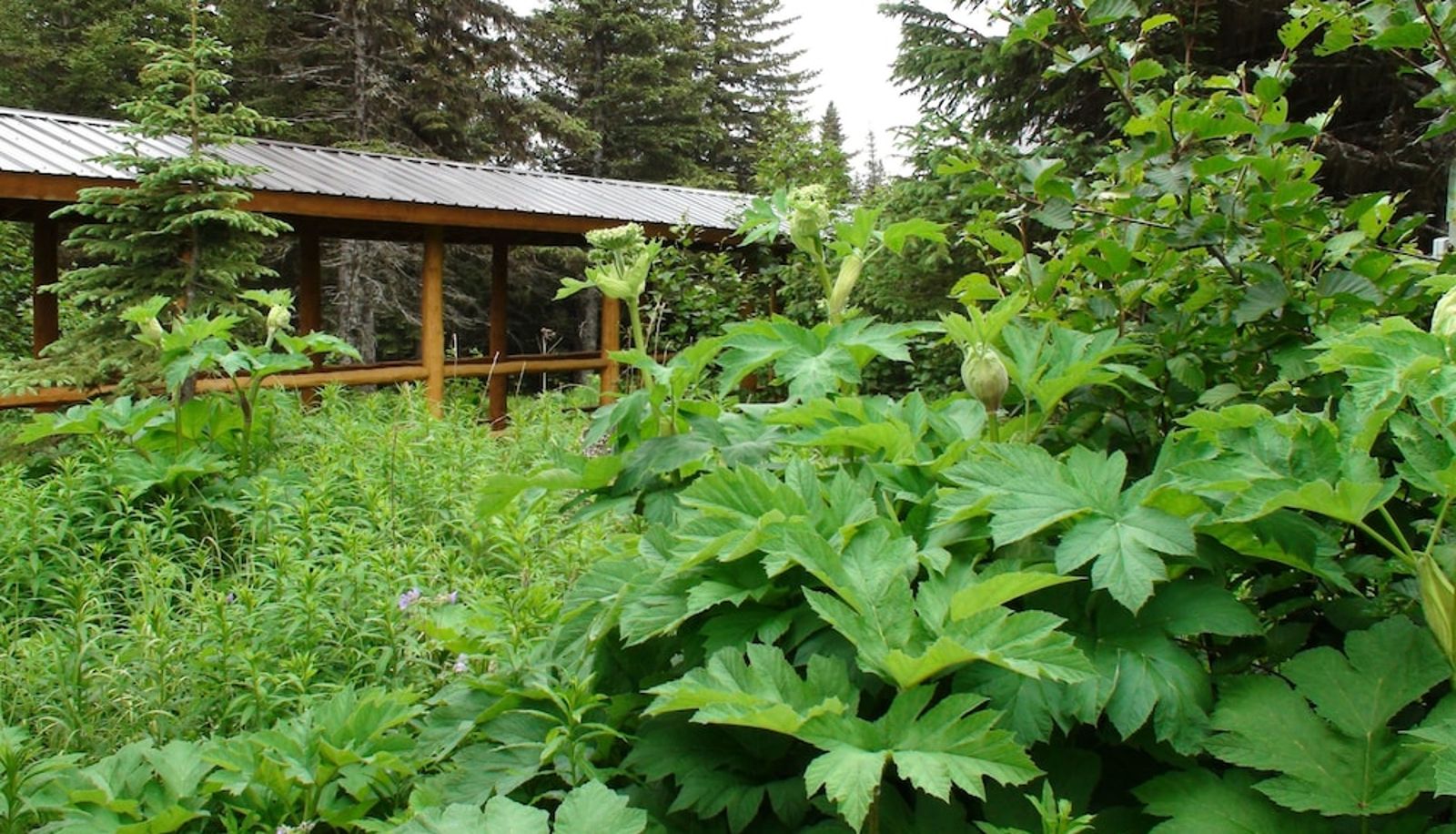 Info - Bear Paw Adventure