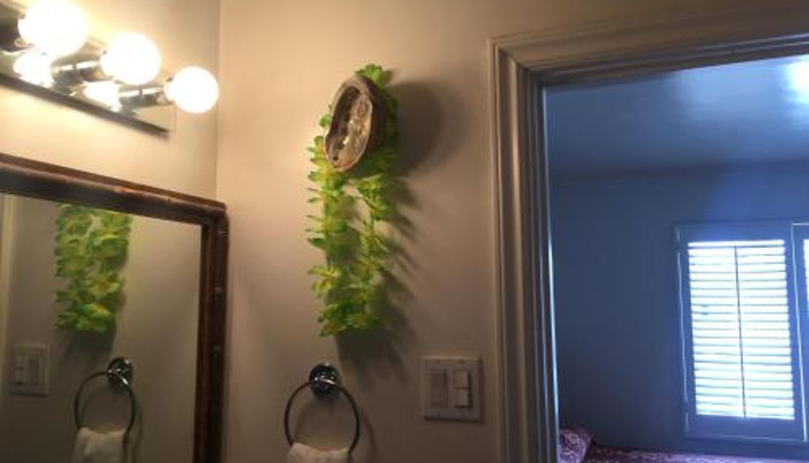 Apartment - The Shores Inn