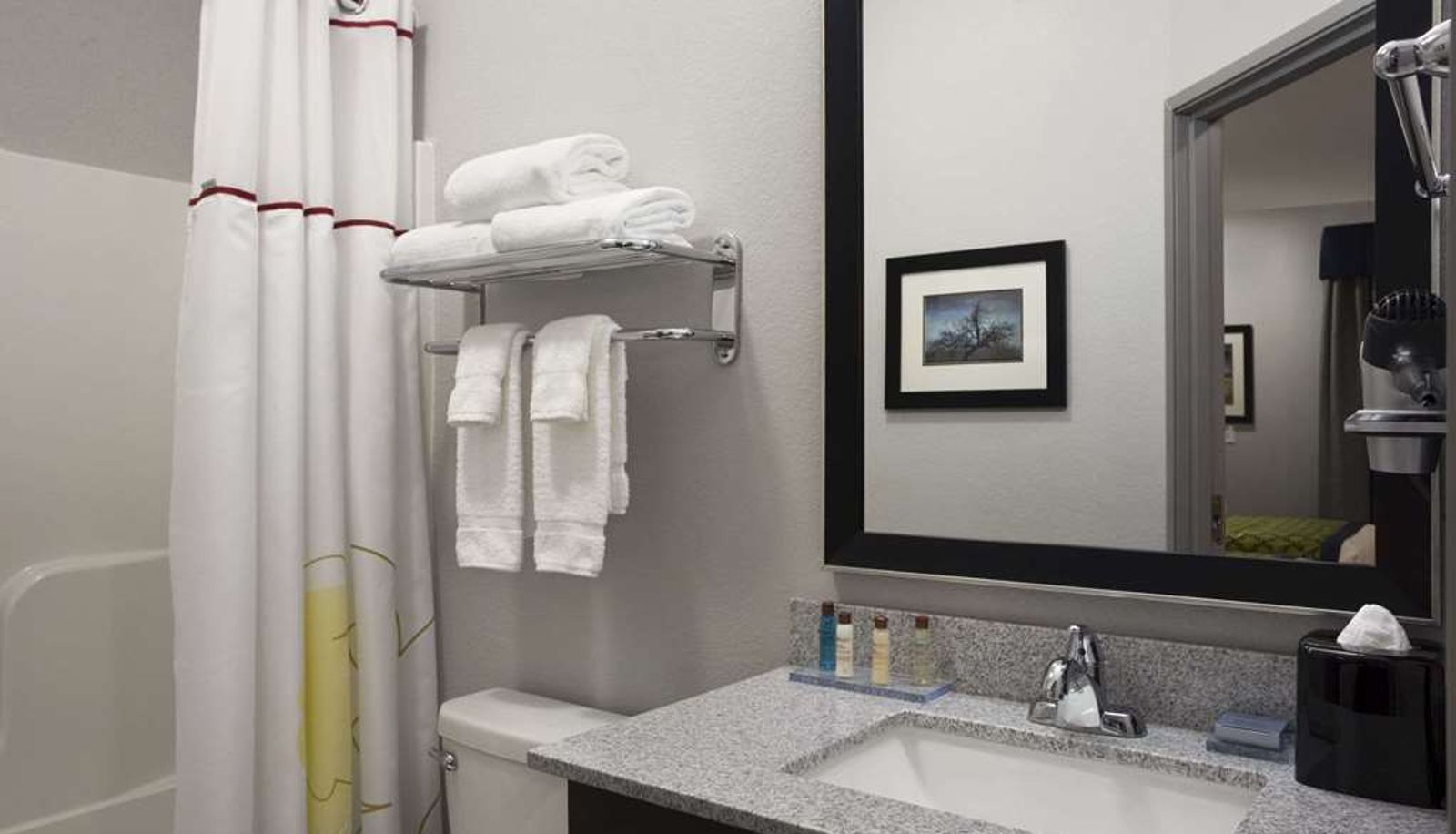 Camera - Hawthorn Suites by Wyndham San Angelo