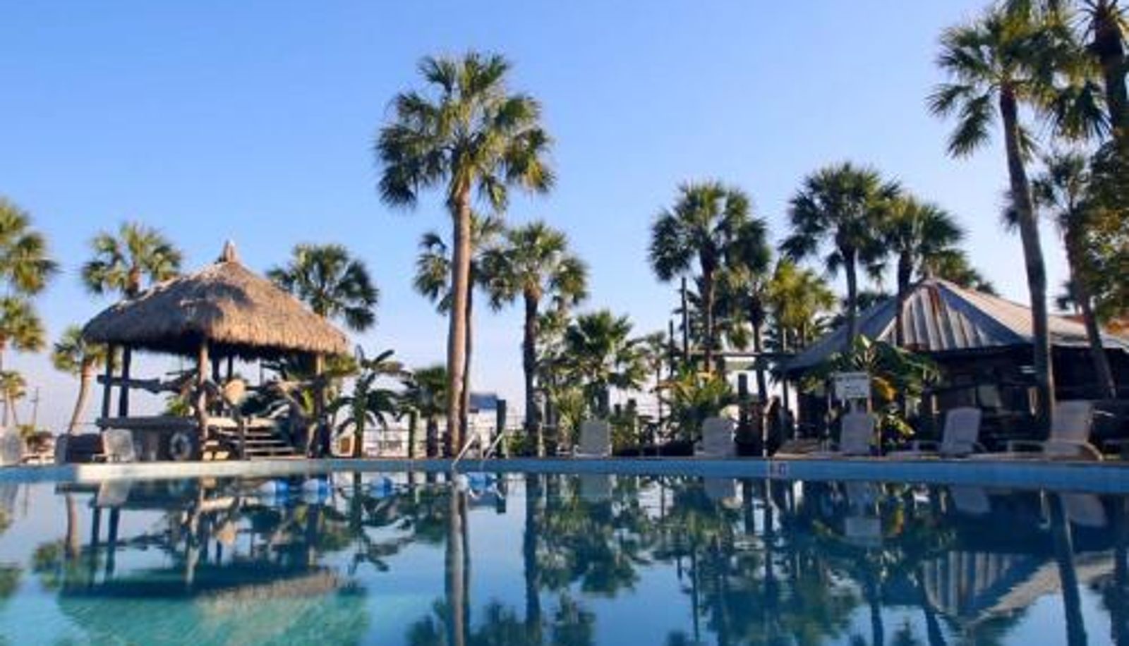 Pool - The Conch House Marina Resort