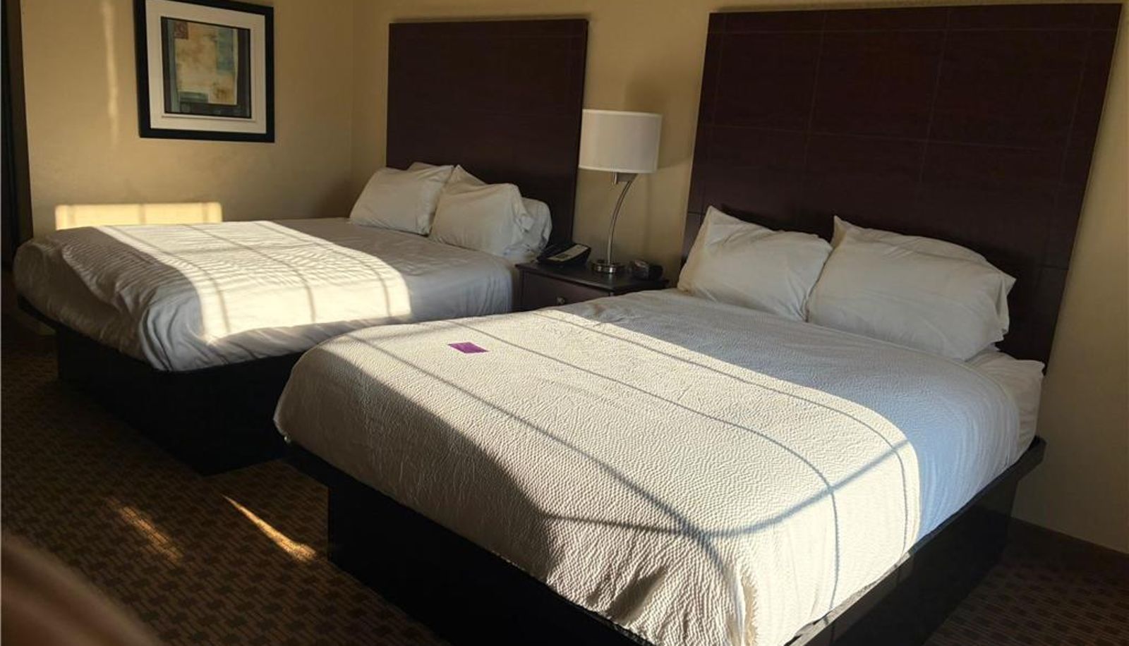 Zimmer - SureStay by Best Western Salem