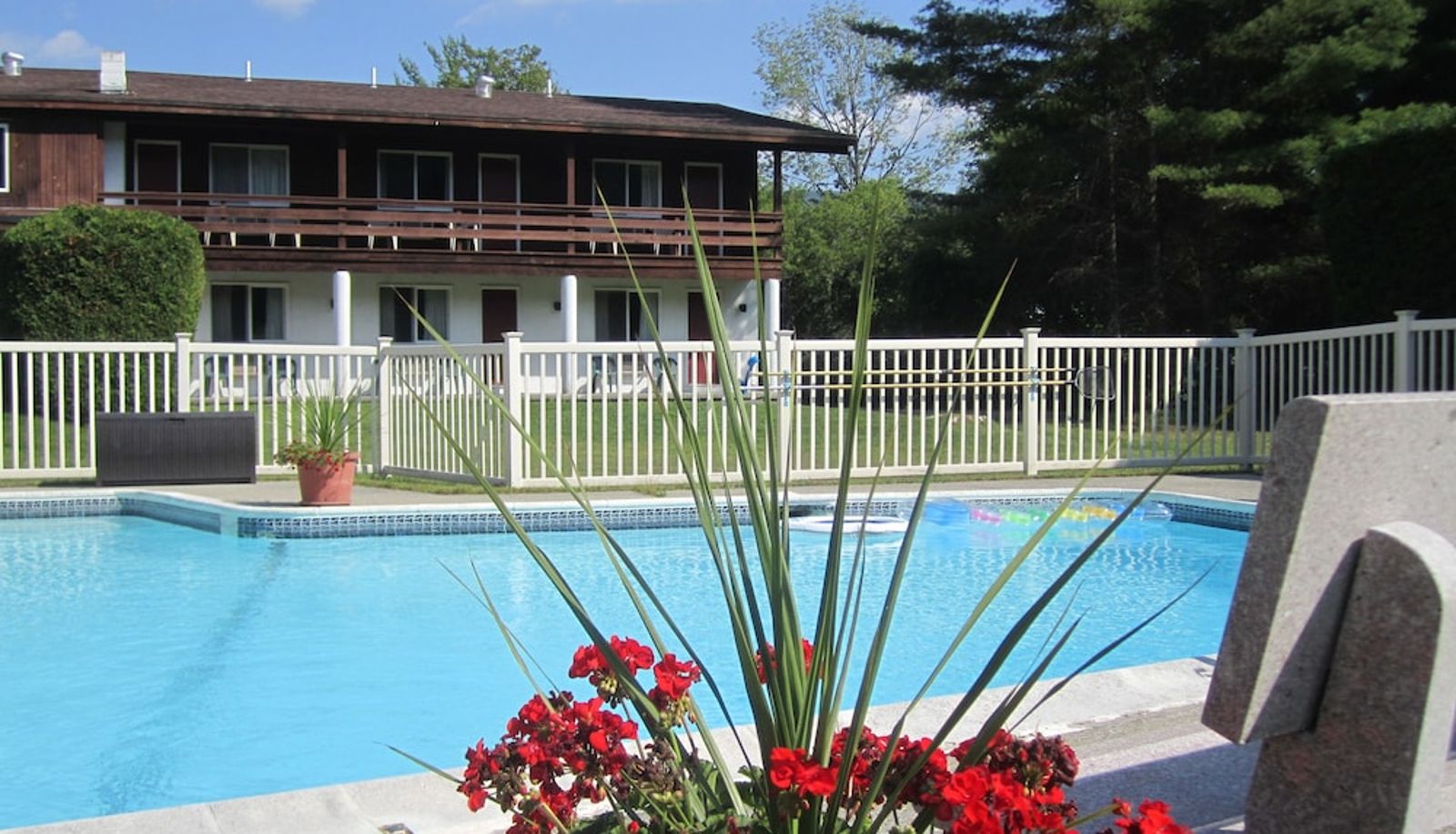 Zwembad - The Olympia Lodge