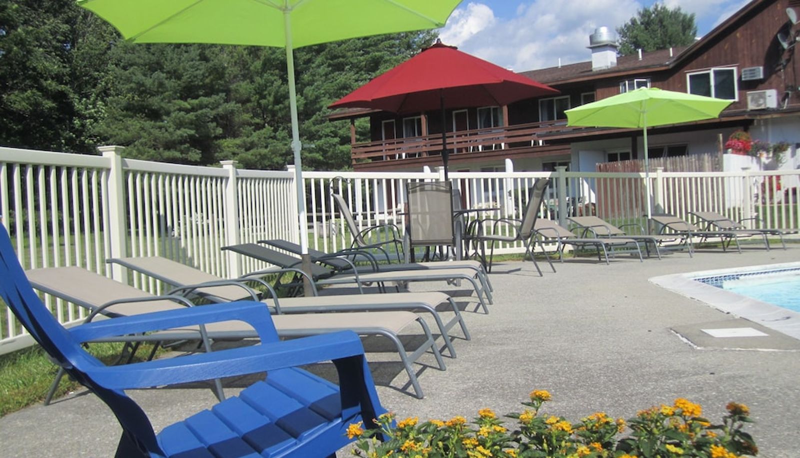 Zwembad - The Olympia Lodge