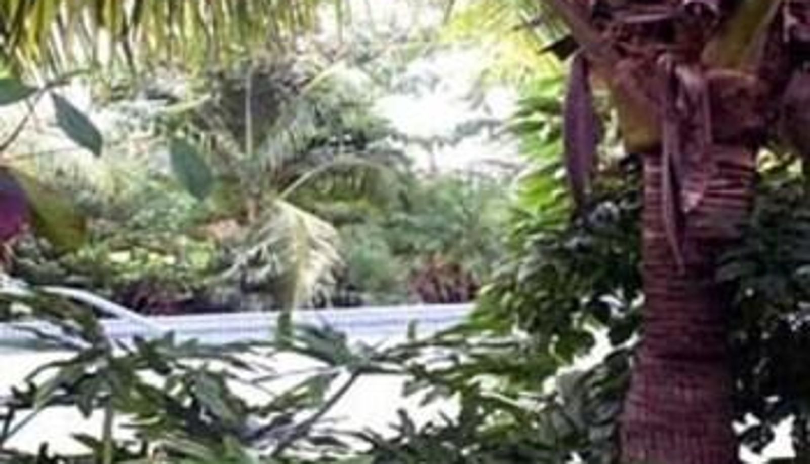 Pool - INNAD North Miami Shores