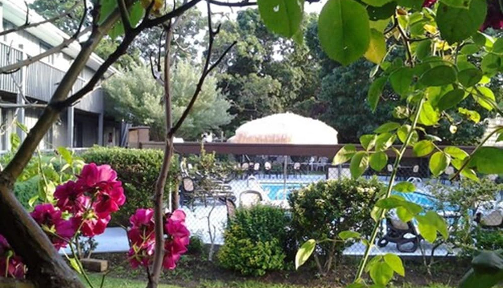 Pool - Kenny's Tipperary Inn