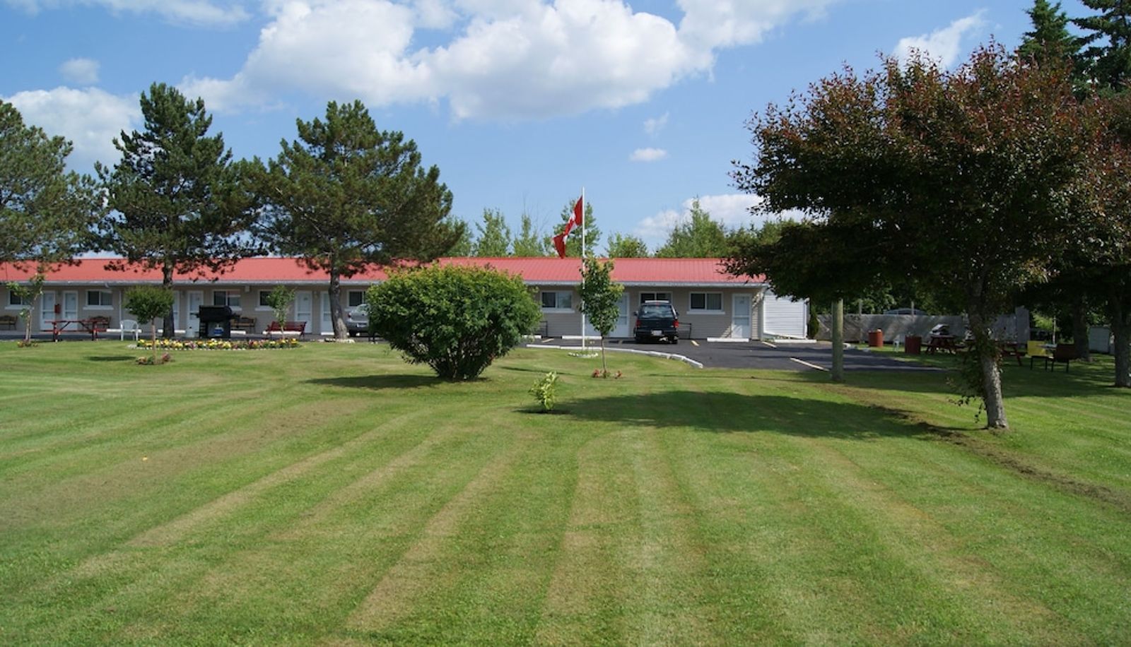Garten - Blue Jay Motel