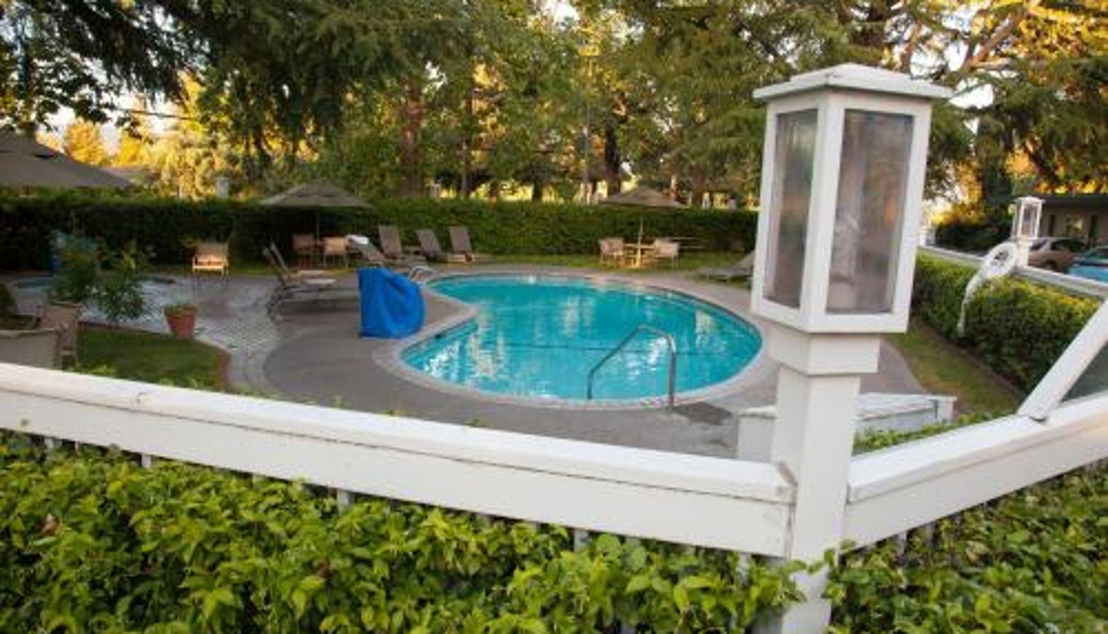 Pool - El Bonita Motel