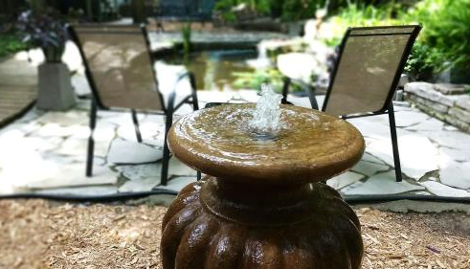 Info - Forest Hill Bed and Breakfast