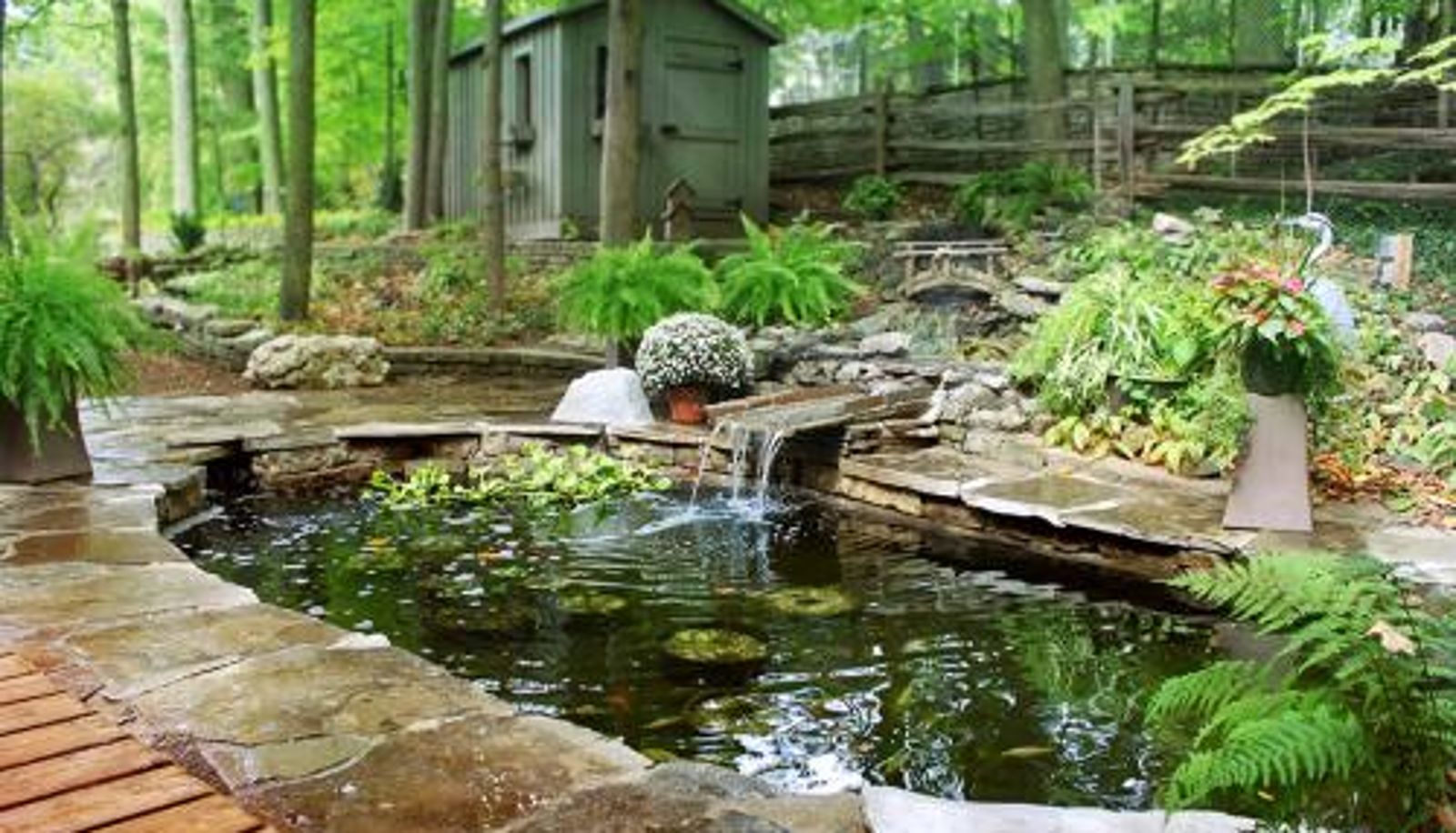 Info - Forest Hill Bed and Breakfast