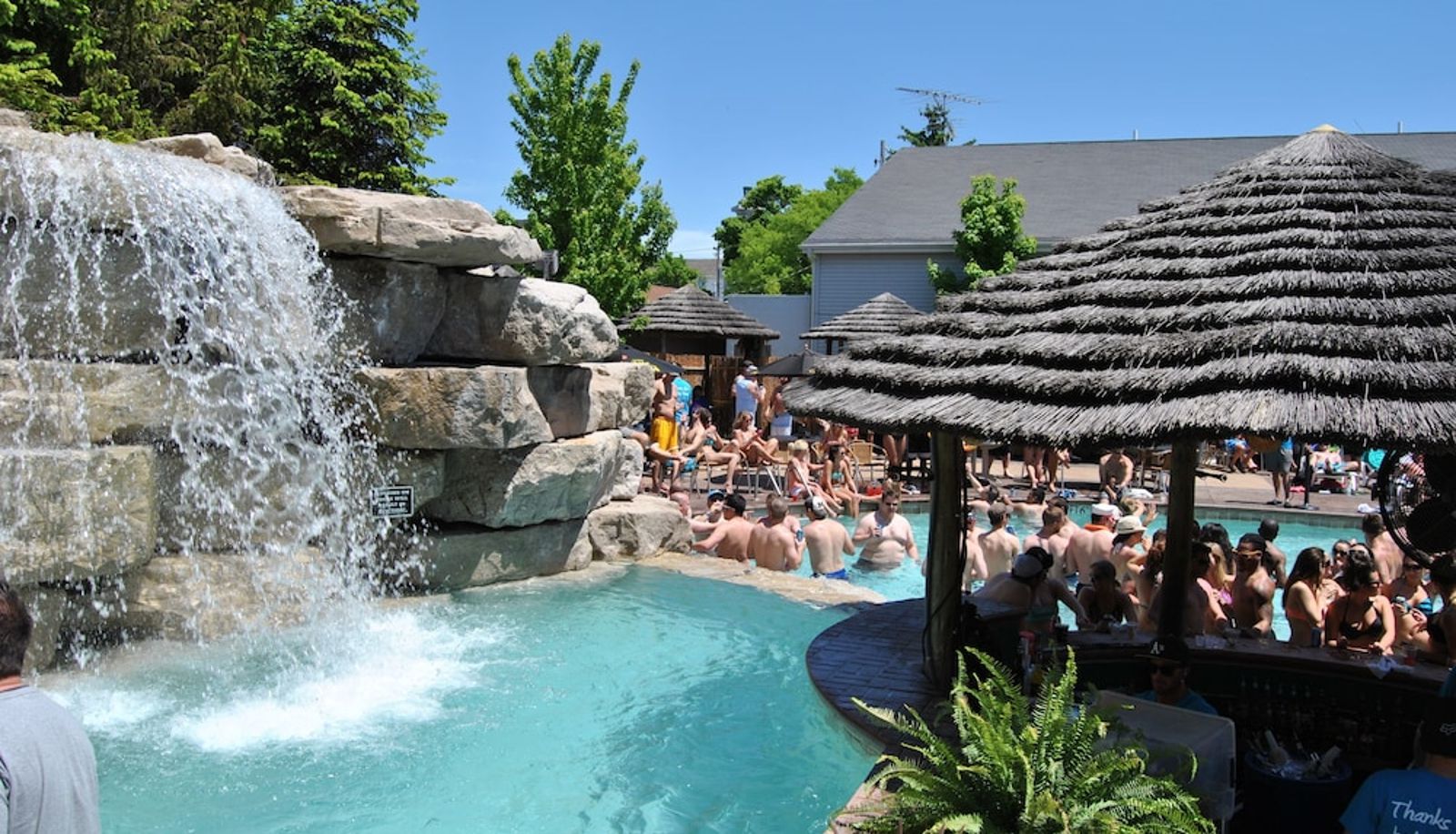 Pool - Commodore Resort