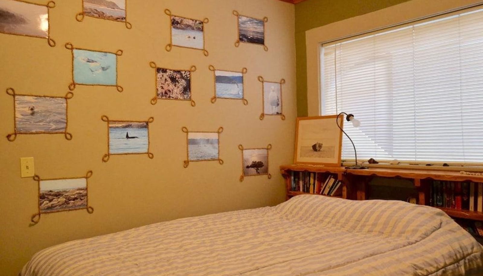 Standardzimmer - Eugene Lodge and International Hostel