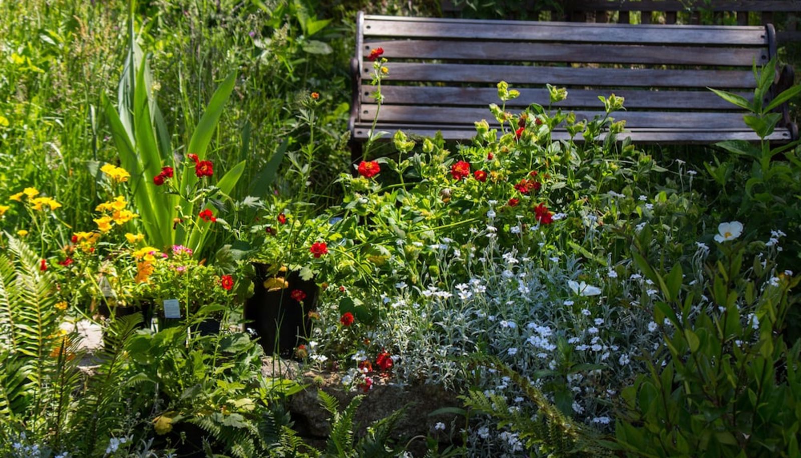 Garden - Elevate Rooms Armand Heights