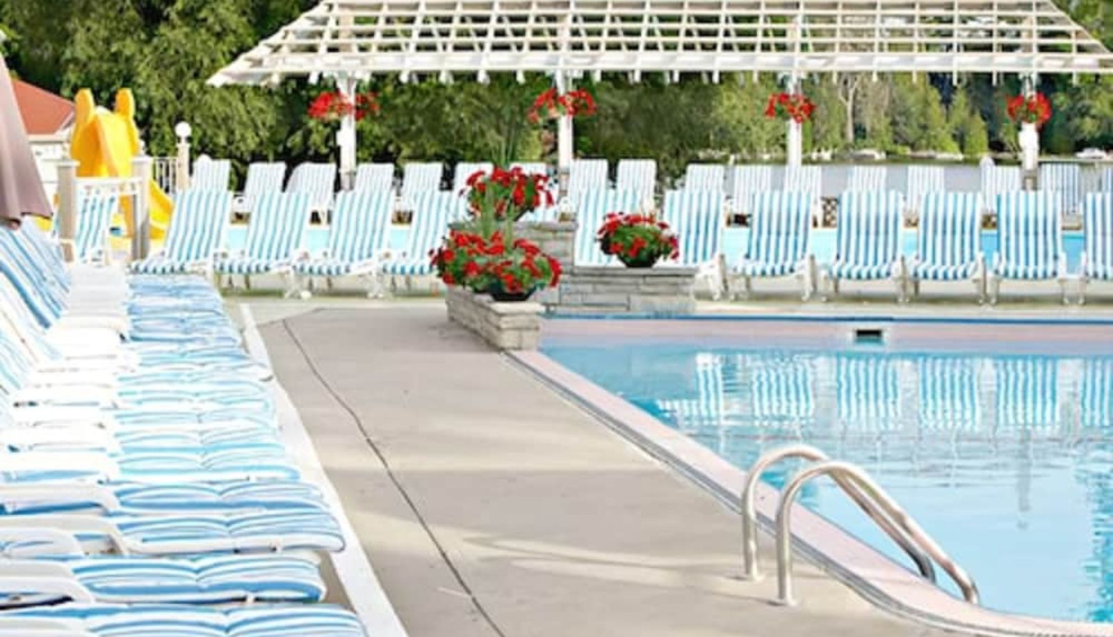 Pool - Fern Resort