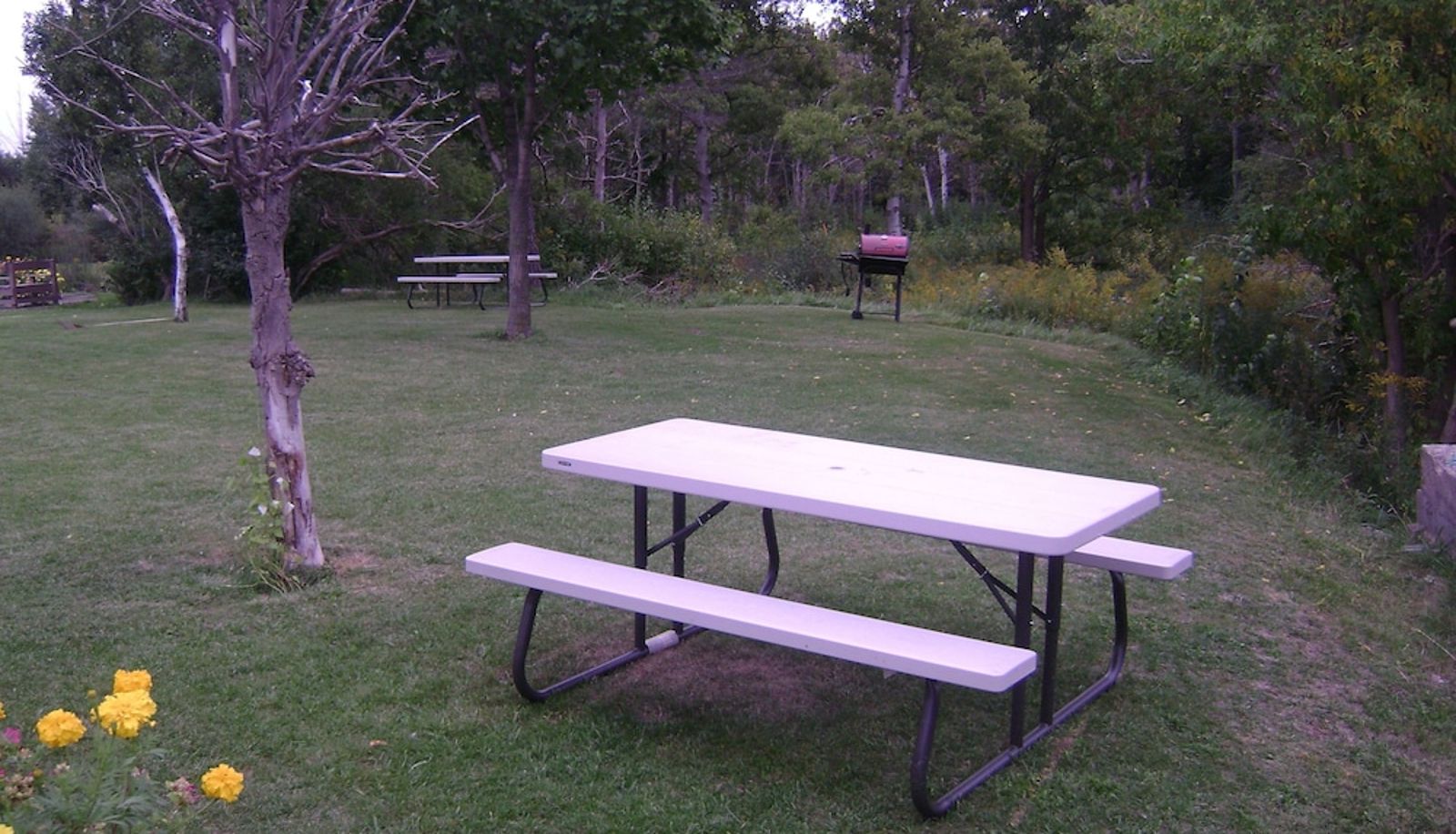 Terrasse - Orangeville Motel