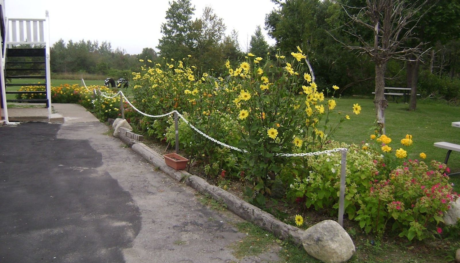 Terrasse - Orangeville Motel