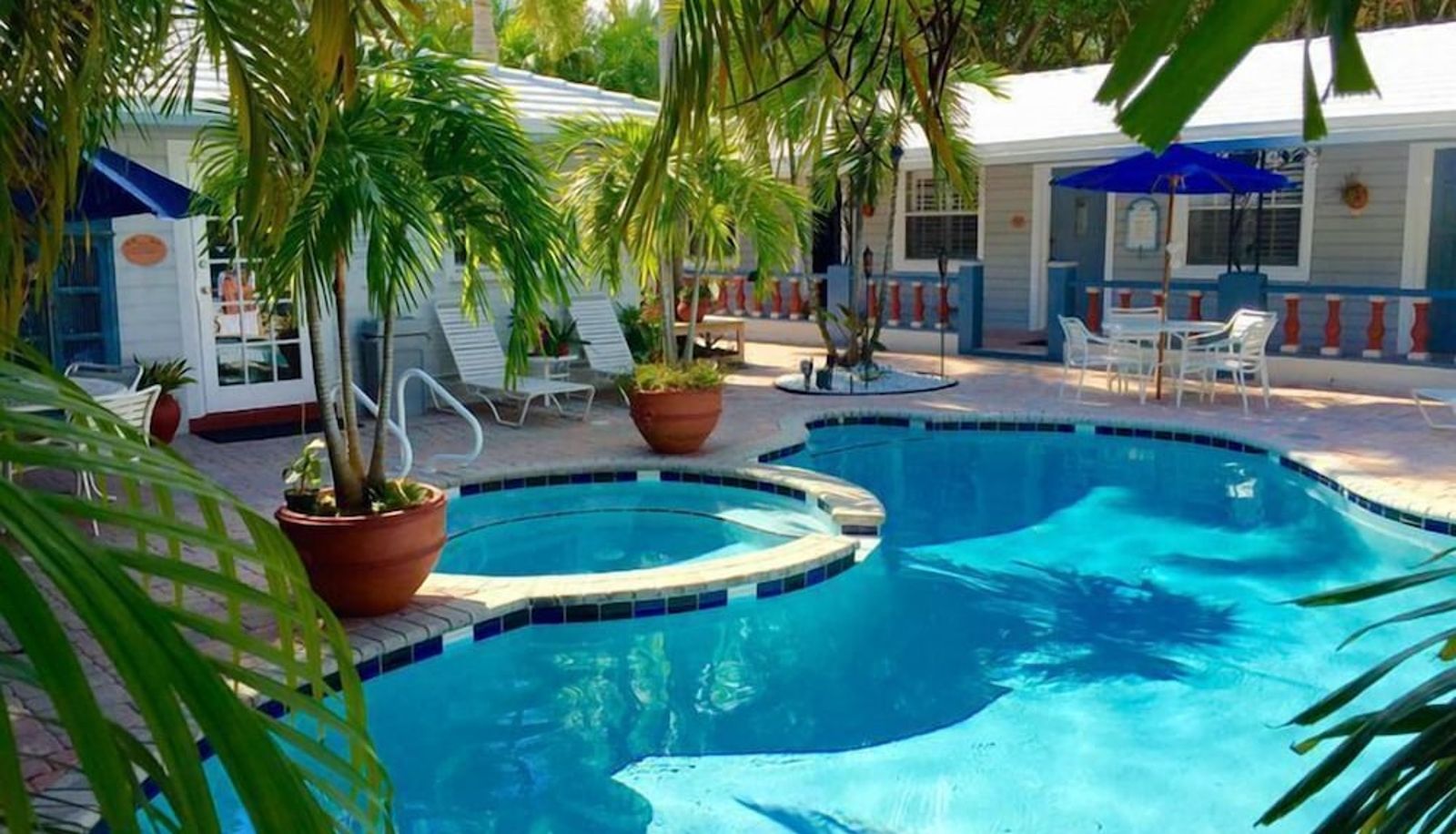 Pool - Coral Reef Guesthouse