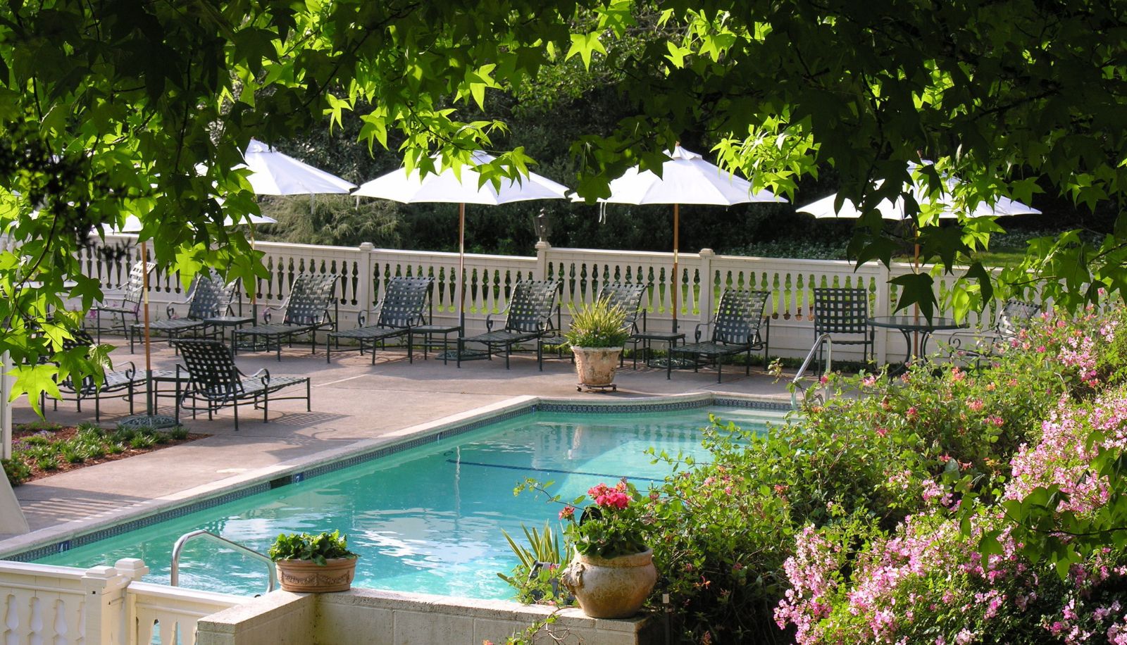Pool - The Madrona