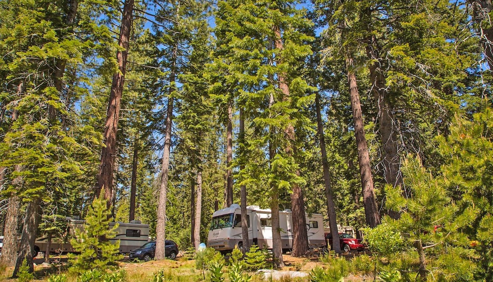 Info - Snowflower RV Resort