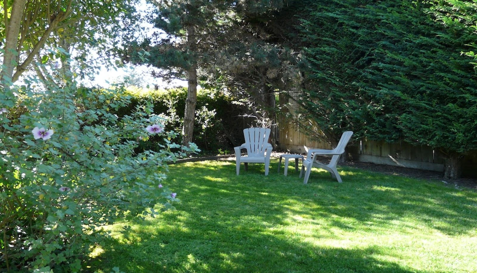 Garden - Harbor Inn