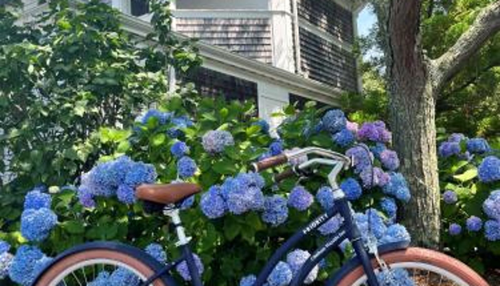Info - Greyfinch Chatham Inn