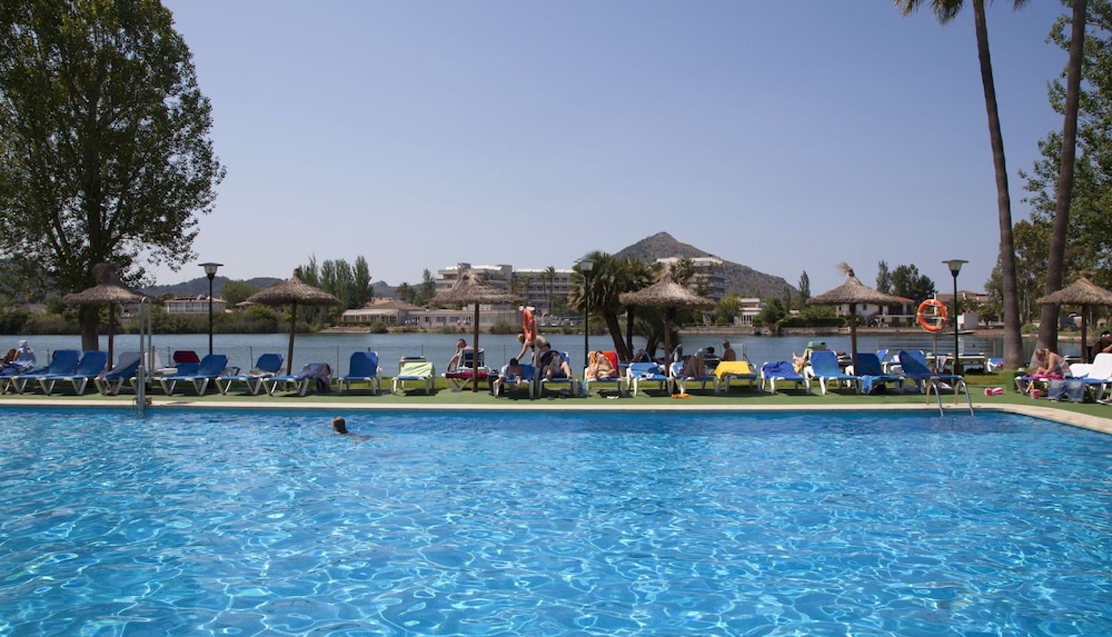 Piscina - Grupotel Amapola