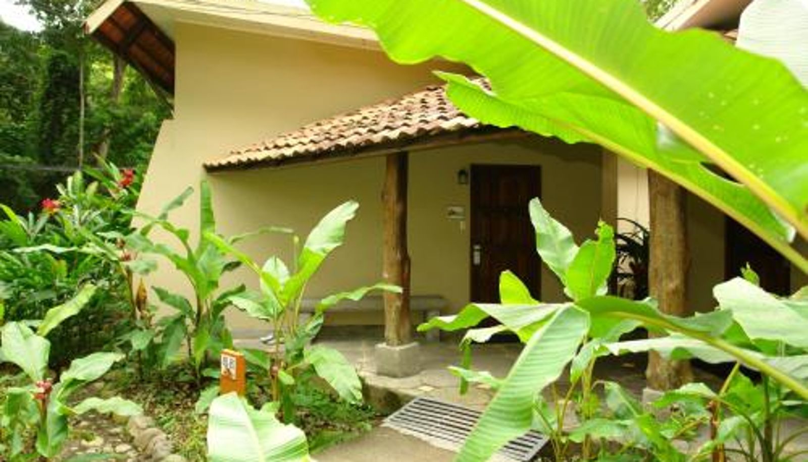 Room - Hotel Punta Leona