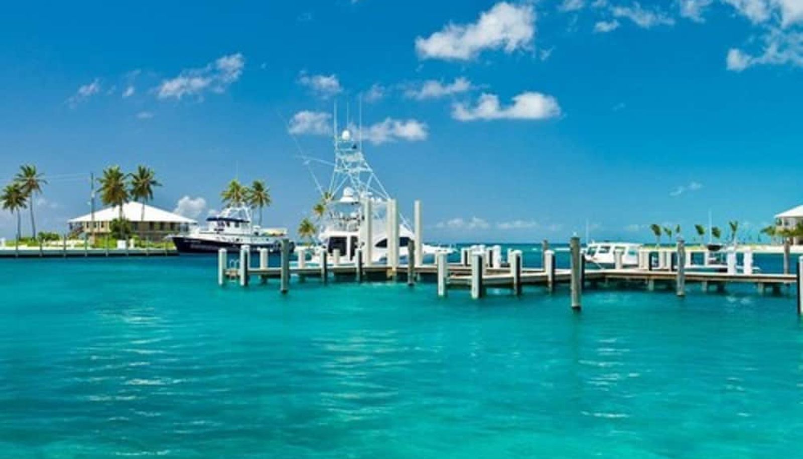 Apartment - Cape Eleuthera Resort & Marina