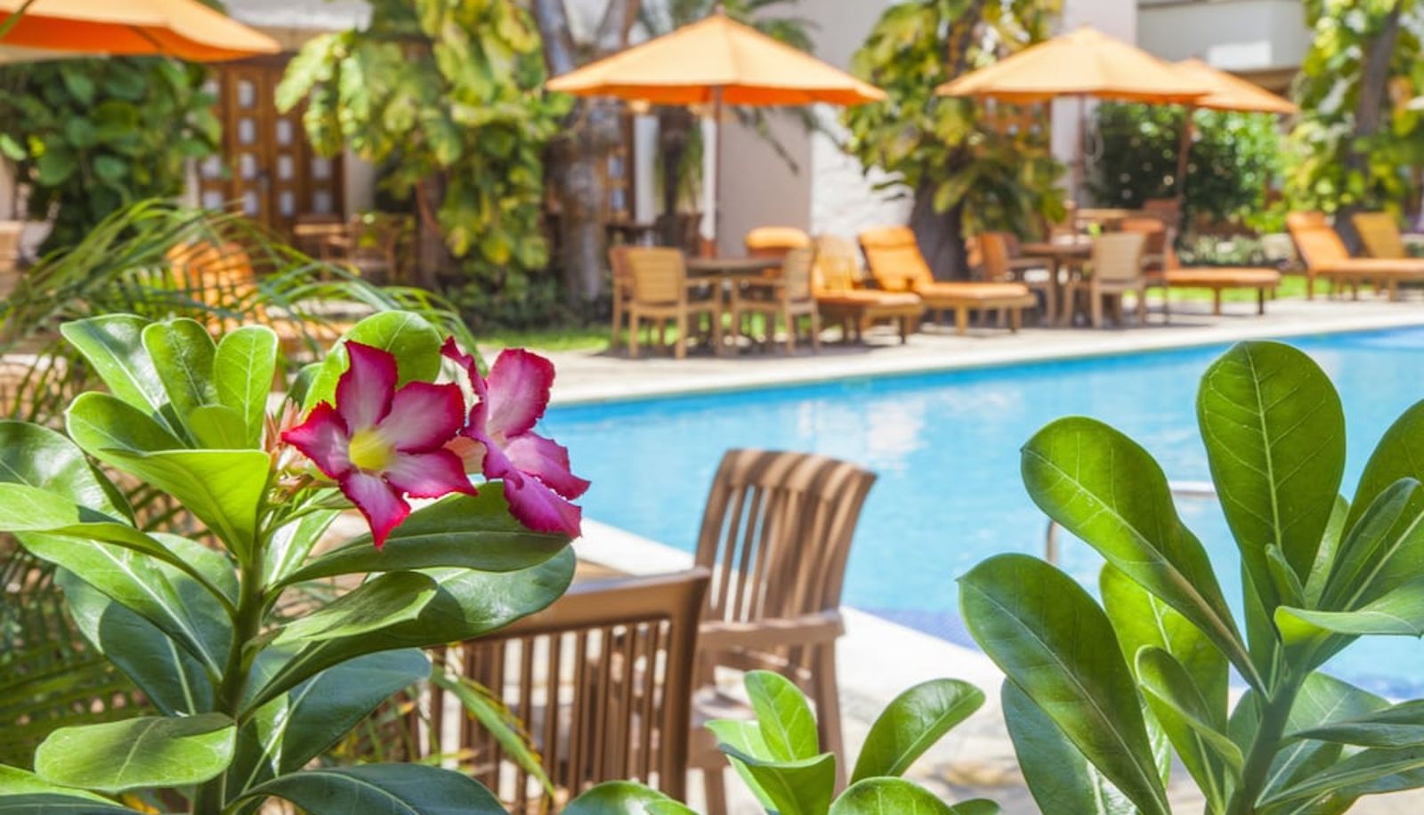Piscina - Hotel Villa Blanca Huatulco
