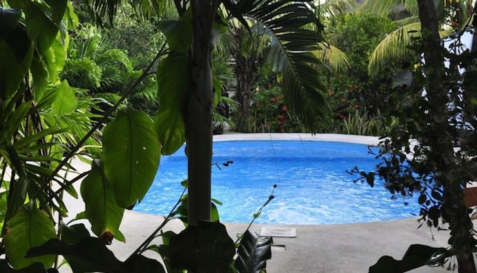Piscina - Green Tulum
