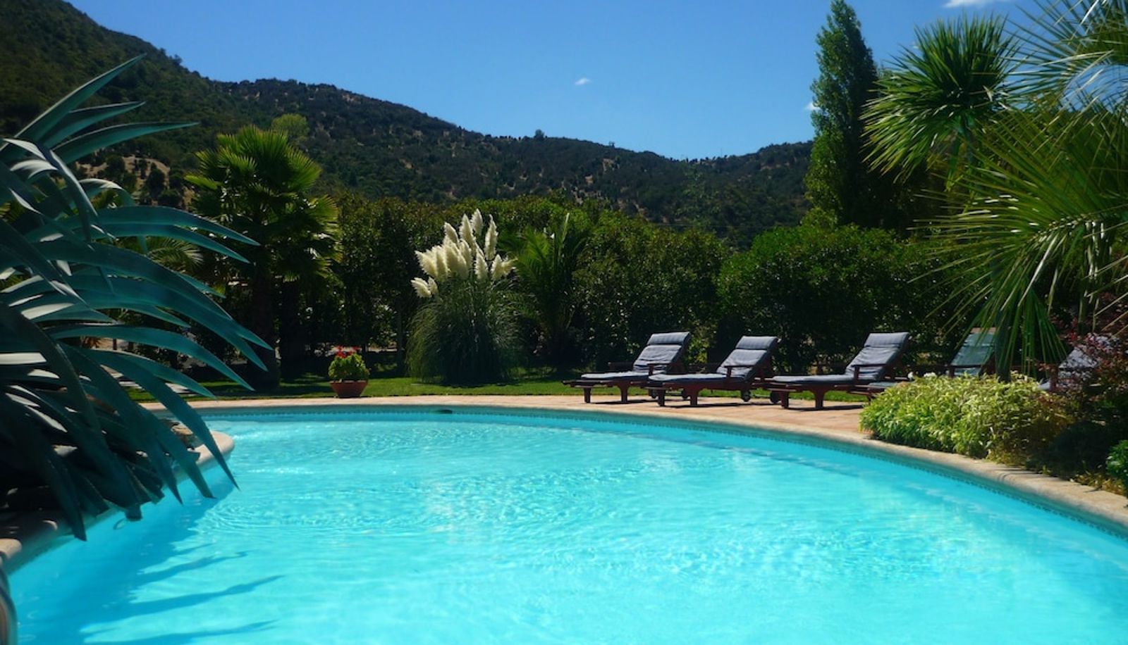 Pool - Hotel Boutique Solaz Bella Vista de Colchagua