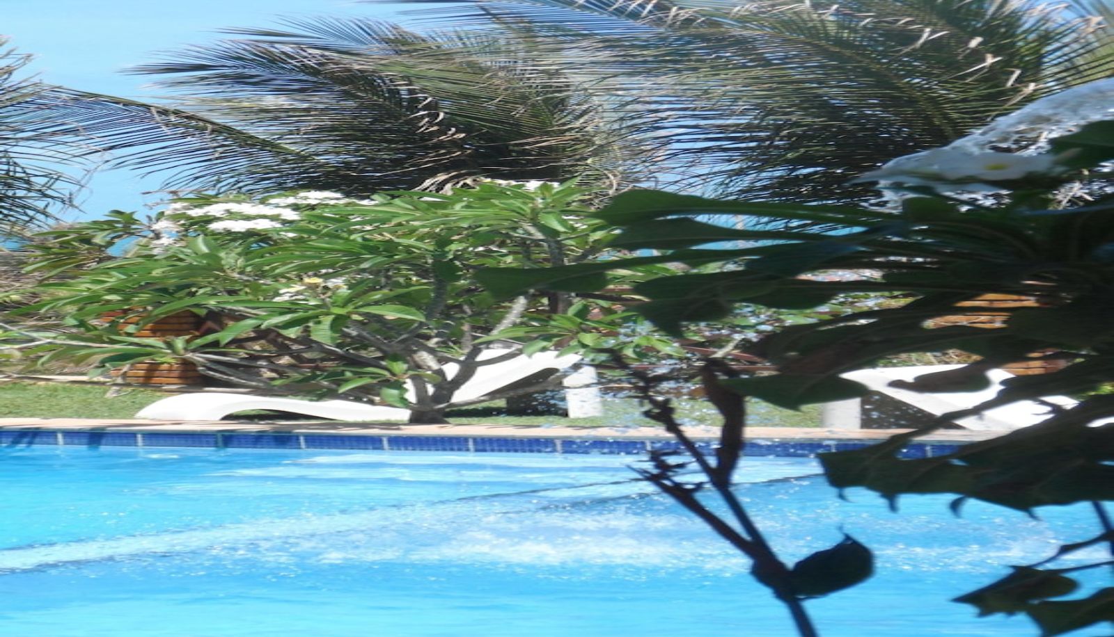Pool - Residencia Oceanos