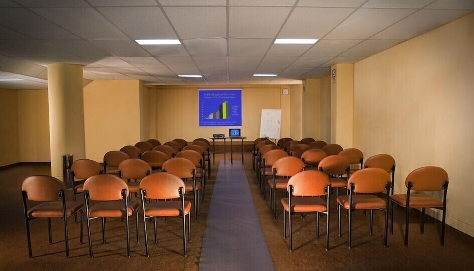 Meeting room - Arawi Pastoruri Hotel