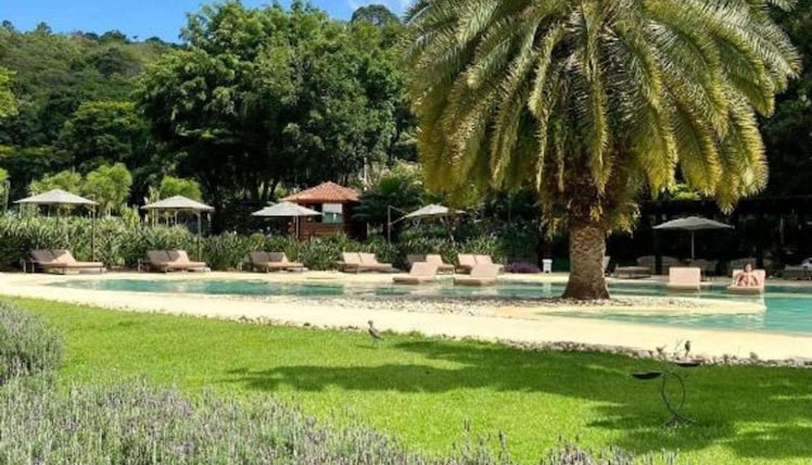 Piscina - Hotel Unique Garden