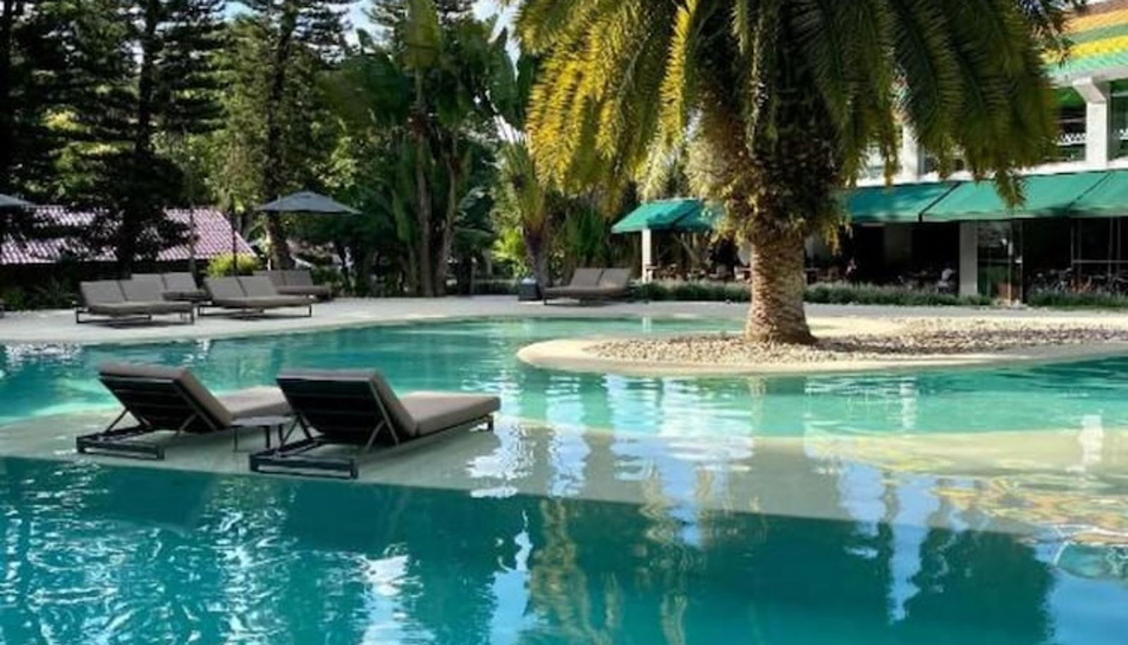 Pool - Hotel Unique Garden